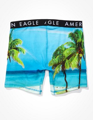 Трусы-боксеры AEO Rainbow Classic для мужчин — American Eagle — фото 2