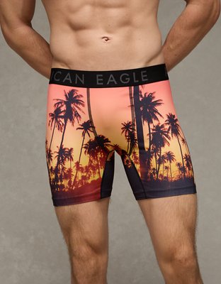 AEO Men's 6" Flex Boxer Brief from American Eagle - $11.96