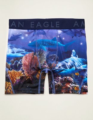 AEO Men's 6" Flex Boxer Brief