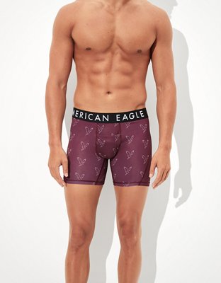 AEO Eagle 6 Horizontal Fly Flex Boxer Brief