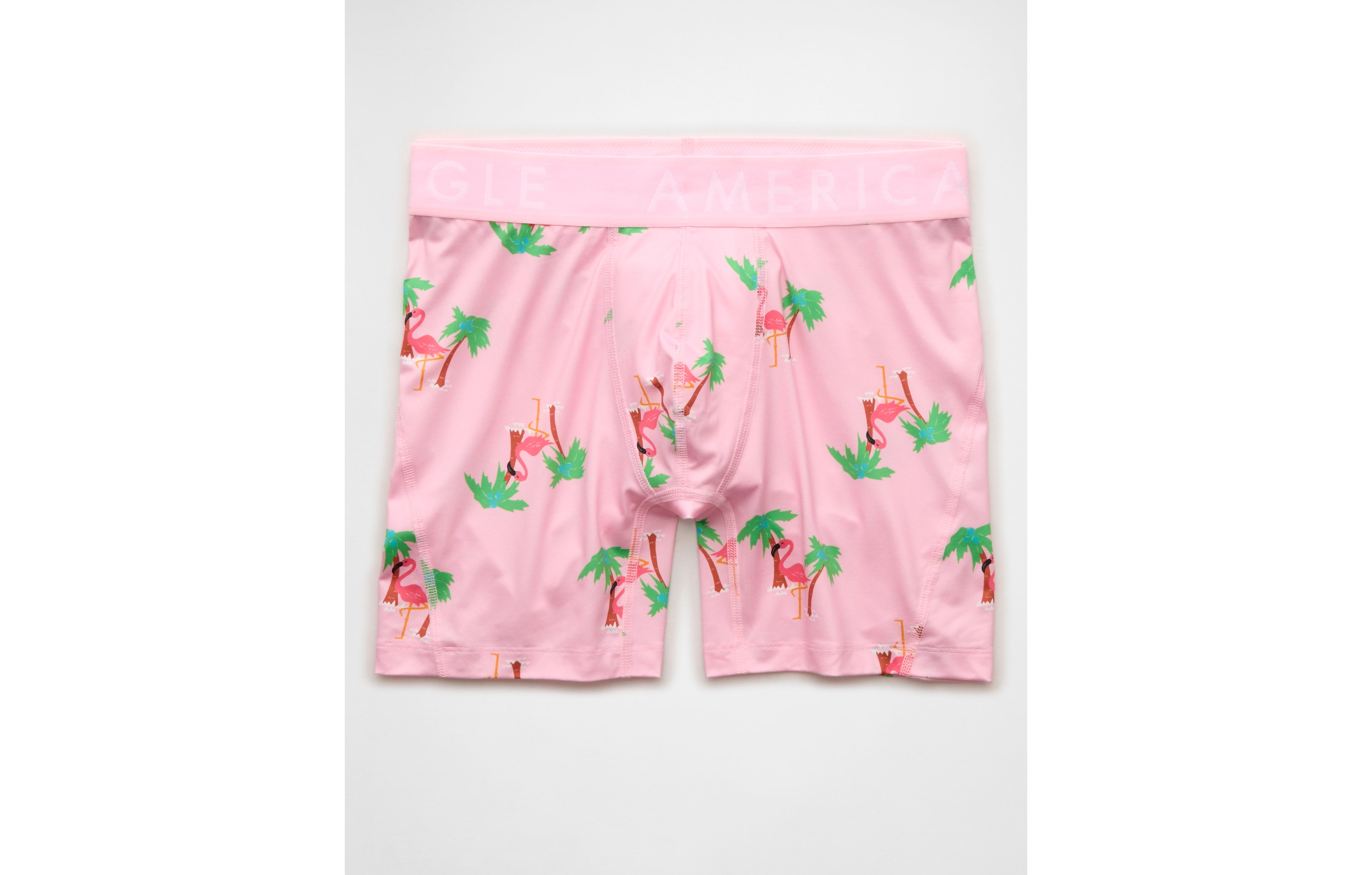 AEO Men's Flamingo 6" Flex Boxer Brief