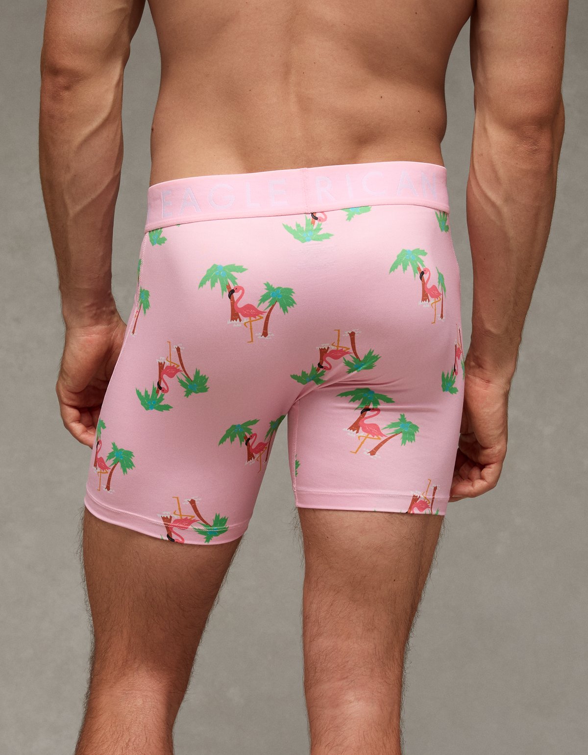 AEO Men's Flamingo 6" Flex Boxer Brief - image 2