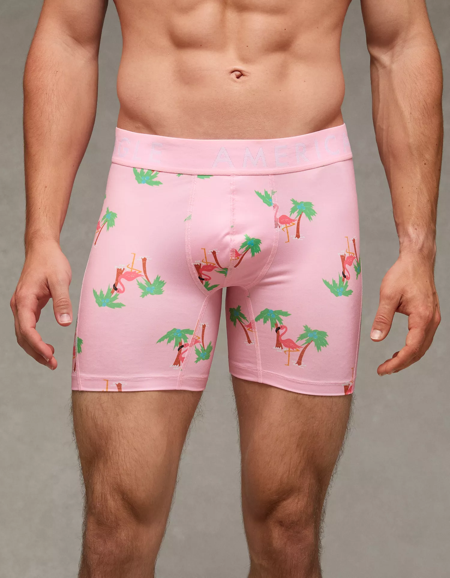 AEO Men's Flamingo 6" Flex Boxer Brief