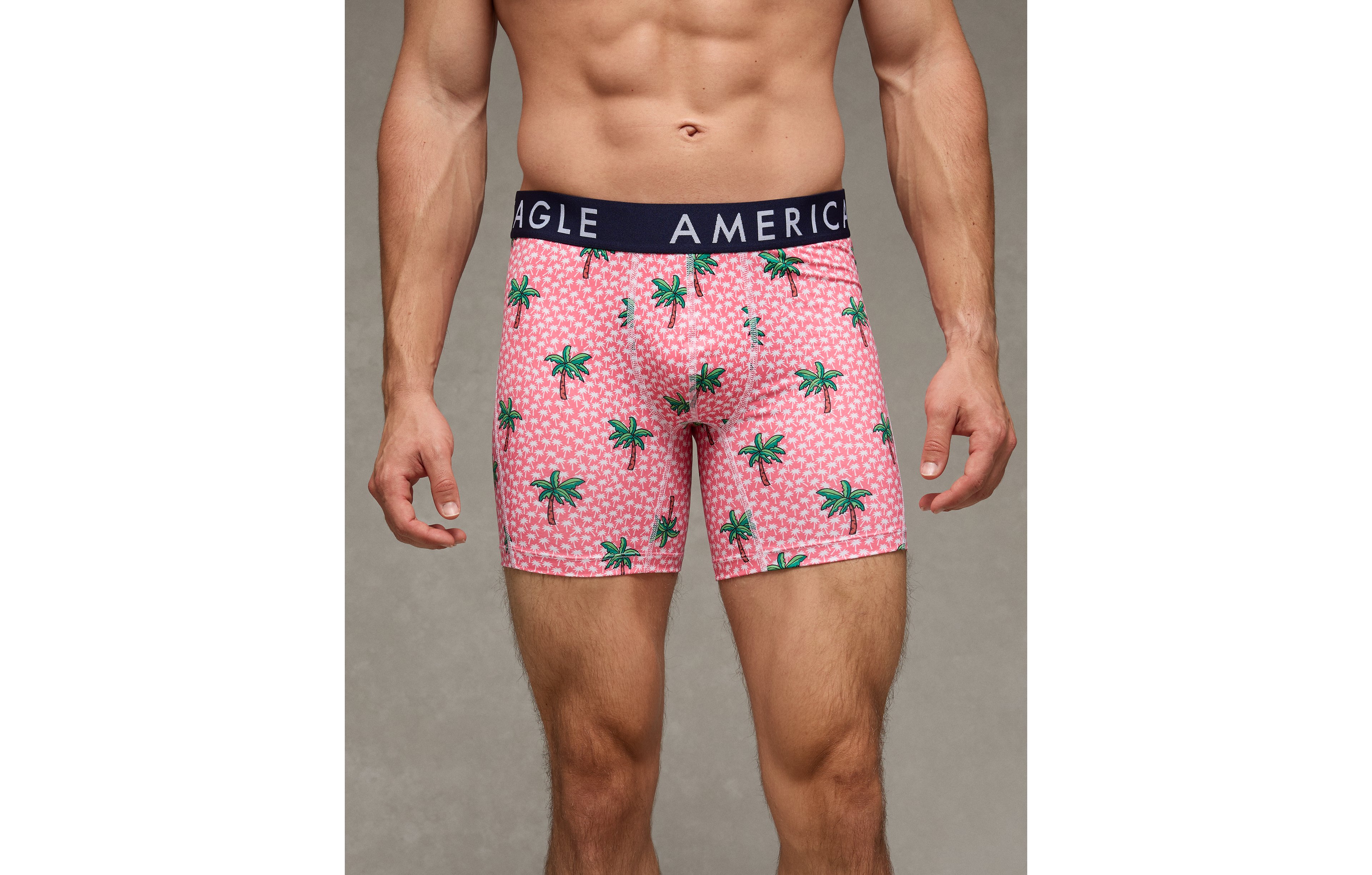 AEO Men's Palm Trees 6" Flex Boxer Brief