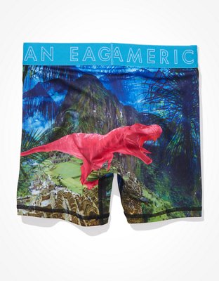 AEO Jungle Dinosaur 6" Flex Boxer Brief