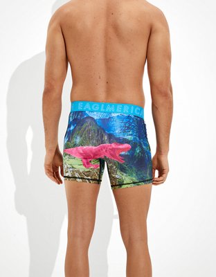 AEO Jungle Dinosaur 6" Flex Boxer Brief