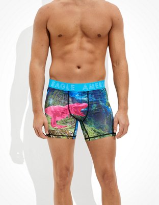 AEO Jungle Dinosaur 6" Flex Boxer Brief