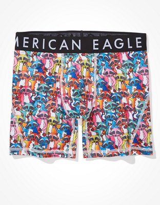 AEO Raccoons 6" Flex Boxer Brief