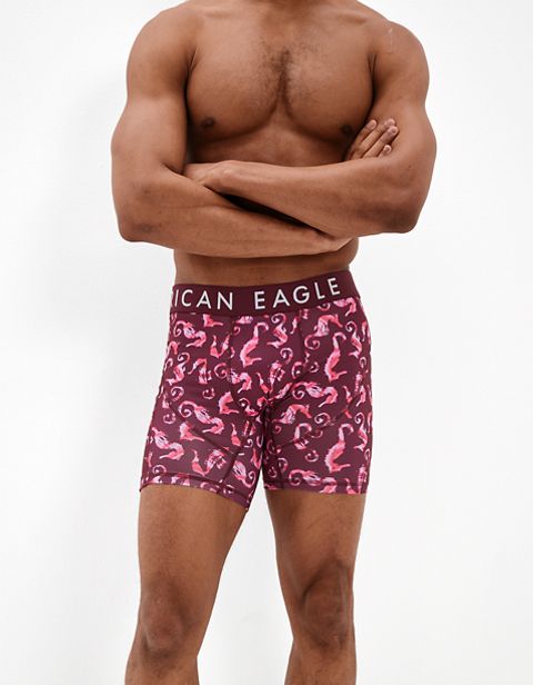 Мужские сумки American Eagle AEO Seahorse 6" Flex Boxer Brief With Ball Pit Pouch