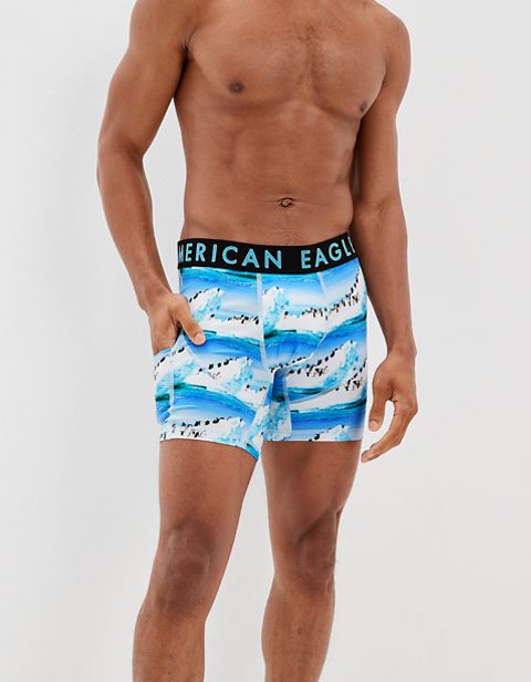 Мужские сумки American Eagle AEO Penguins 6" Flex Boxer Brief With Ball Pit Pouch