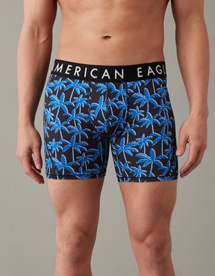 American Eagle Mens 6 Inseam Flex Boxer Briefs, 02361154 Blue