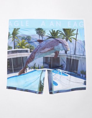 AEO Dolphin 6" Flex Boxer Brief