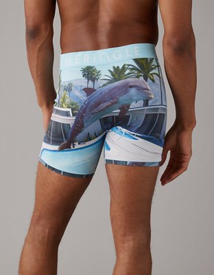 AEO Dolphin 6" Flex Boxer Brief