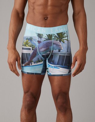 AEO Dolphin 6" Flex Boxer Brief