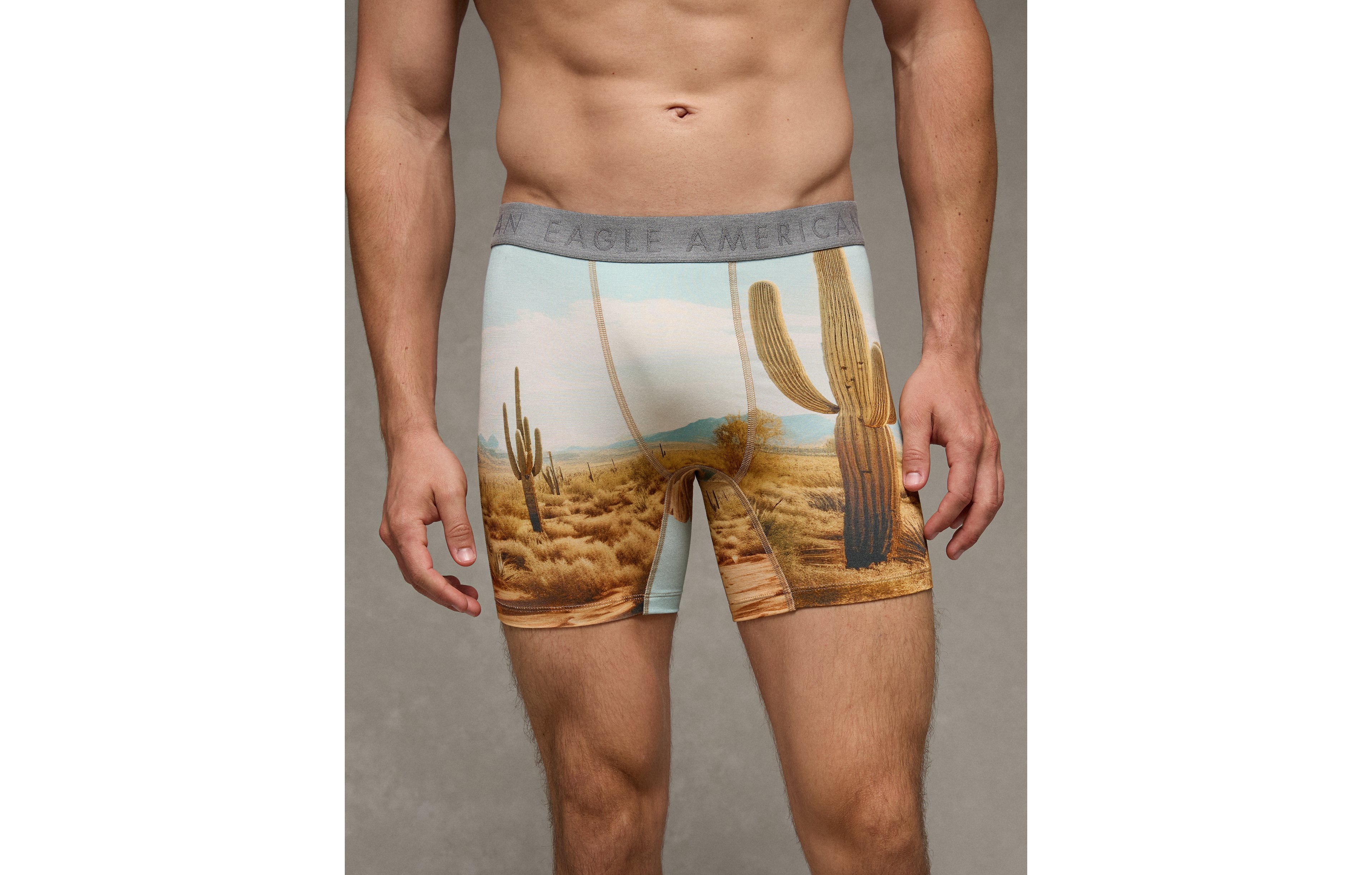 AEO Men's Photoreal 6" Ultra Soft Boxer Brief