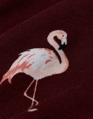 Caleçon boxeur ajusté ultradoux de 6 po flamants roses pour hommes AEO