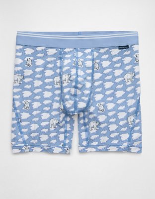 AEO Men's Polar Ice 6" Ultra Soft Boxer Brief