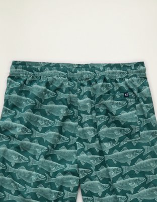 AEO Flannel PJ Pant