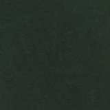 Deep Forest Green