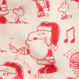 AE Snoopy Flannel PJ Pant