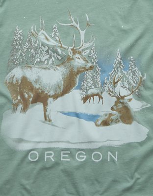 Женские футболки American Eagle AE Oregon Holiday Graphic T-Shirt — фото 5