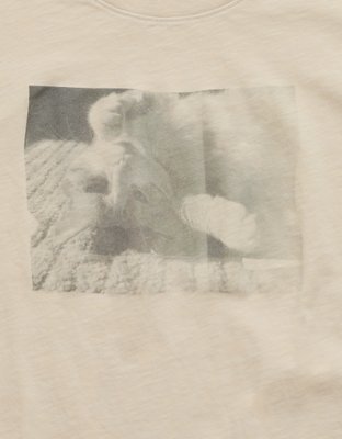 AE Photoreal Graphic T-Shirt