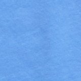 Blooming Bright Blue