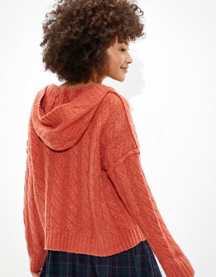 AE Soft & Cozy Hoodie Sweater