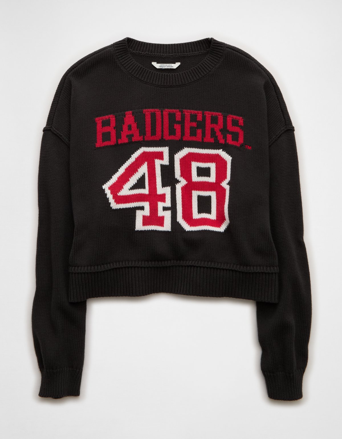 AE Wisconsin Badgers Cropped Sweater - image 3