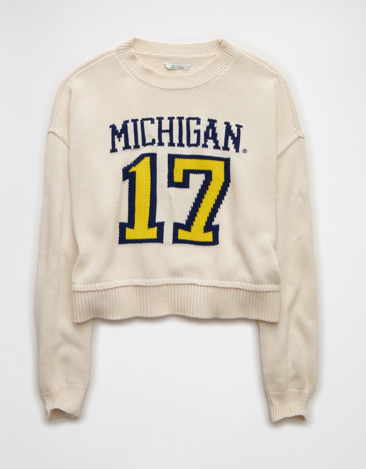 AE Michigan Wolverines Cropped Sweater - image 3