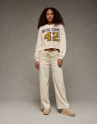 AE Notre Dame Cropped Sweater