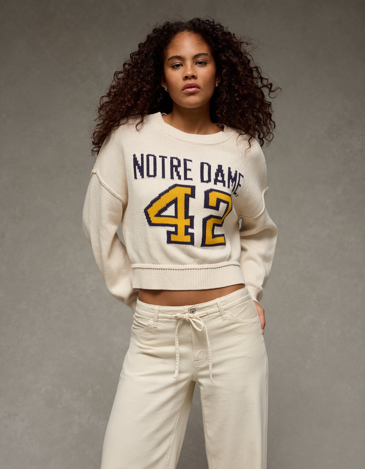 AE Notre Dame Cropped Sweater - image 5