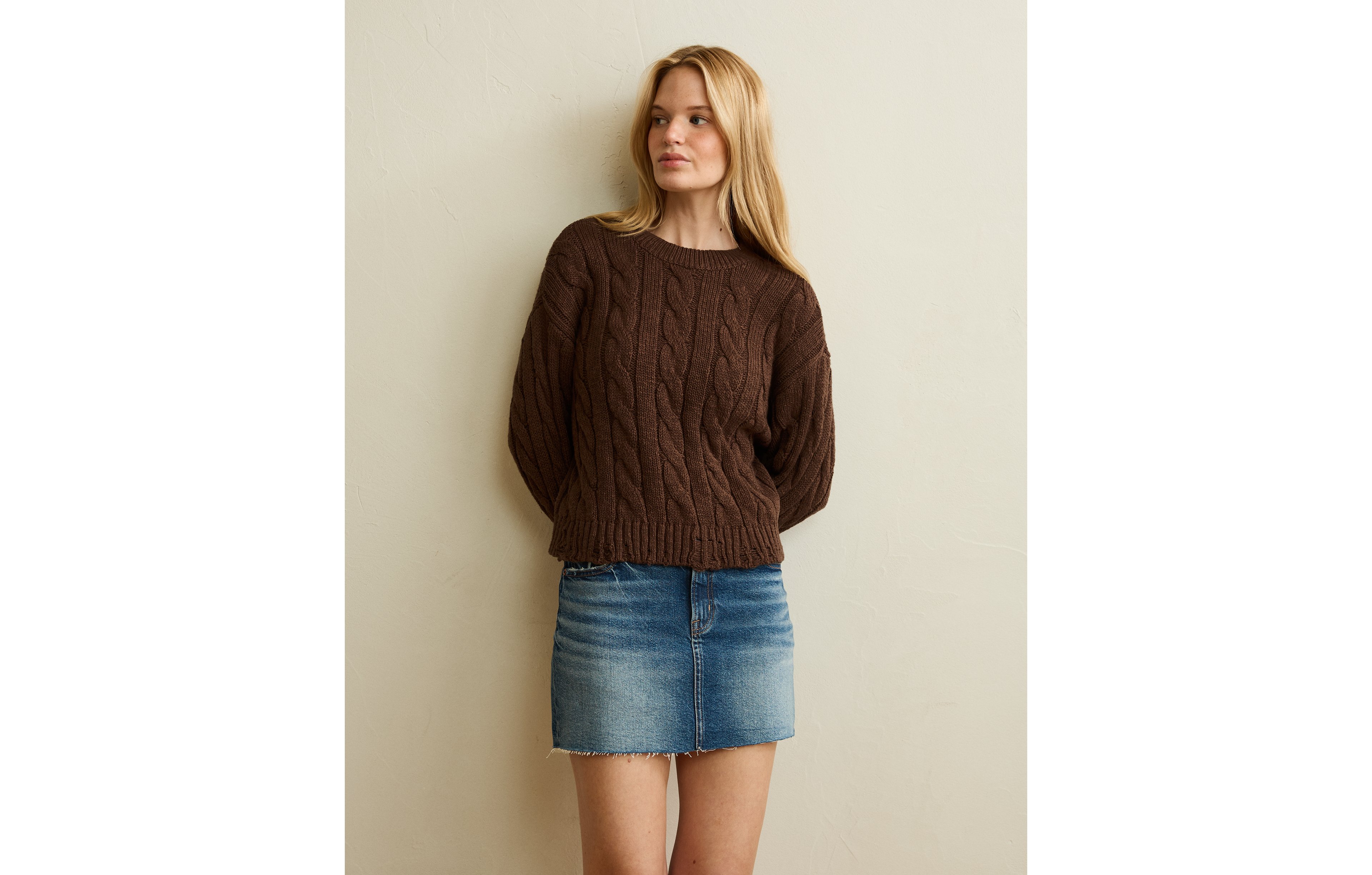 AE Cable Knit Sweater