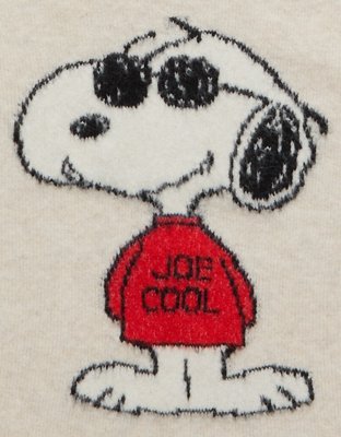 AE Whoa So Soft Snoopy Joe Cool Graphic Sweater
