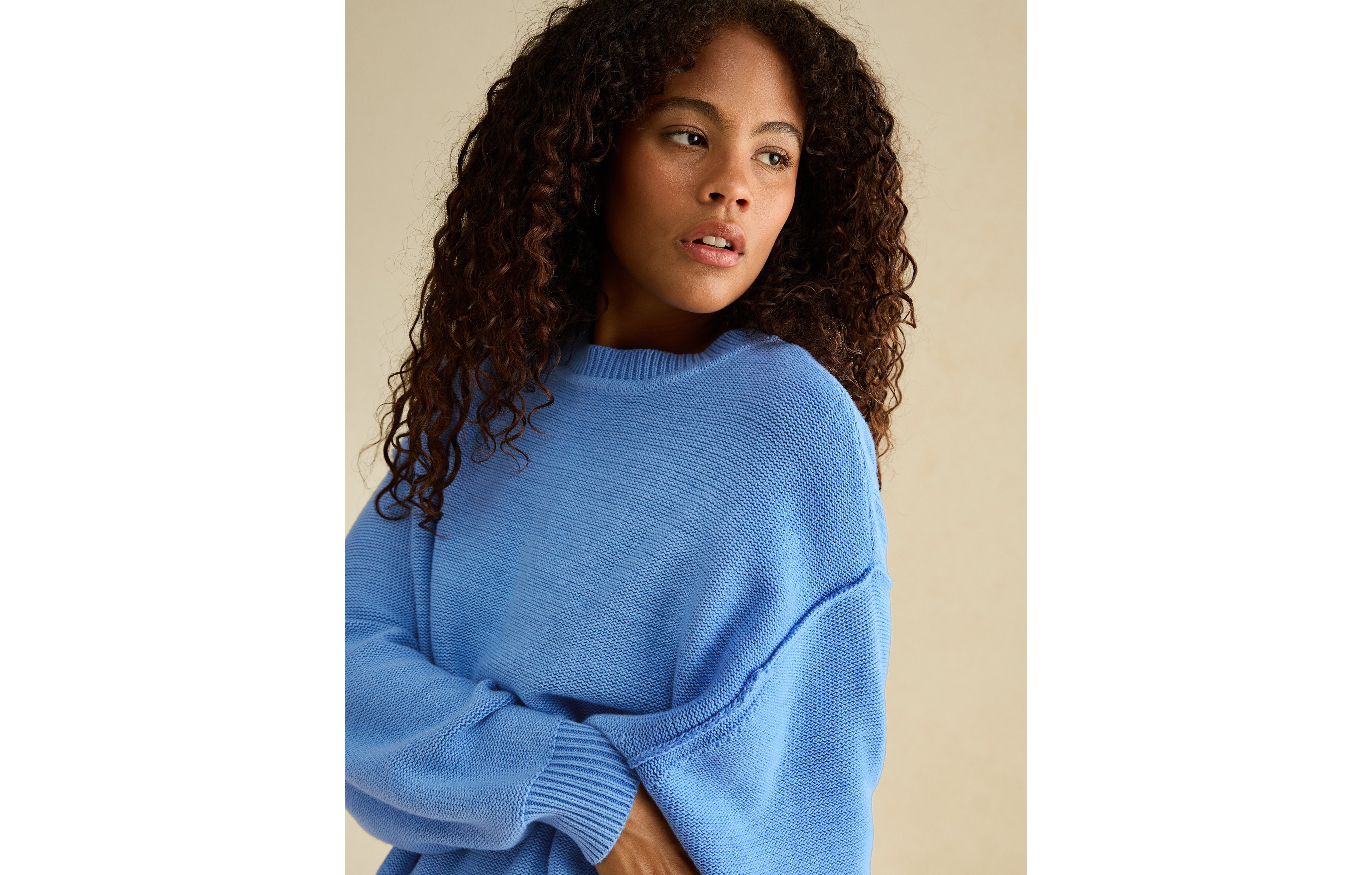 AE Oversized Crew Neck Sweater