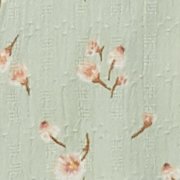 Menta