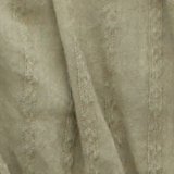 Olive décolorée