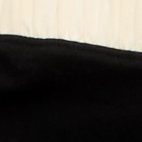 True Black