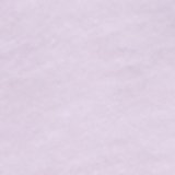 Classic Lilac