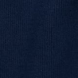 Dark Indigo