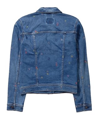 AE Classic Embroidered Denim Jacket