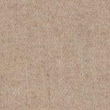 AE Wool Blend Topcoat