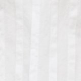 Fresh White