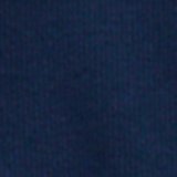 Dark Indigo