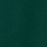 Camper Green