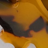 AE Tortie Bow Hair Clip