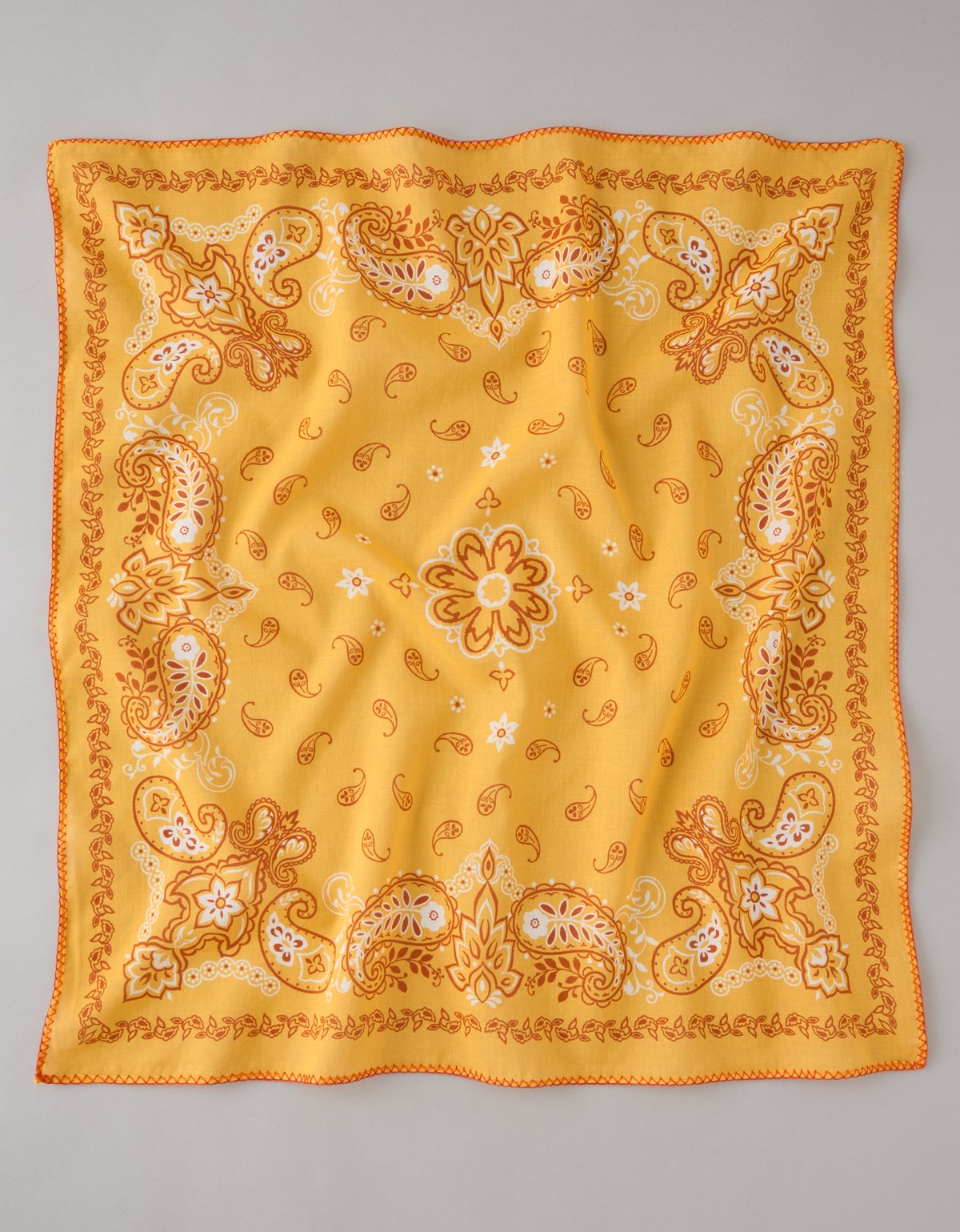 AE Paisley Bandana - image 3