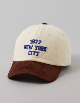 AE Graphic Baseball Hat | American Eagle