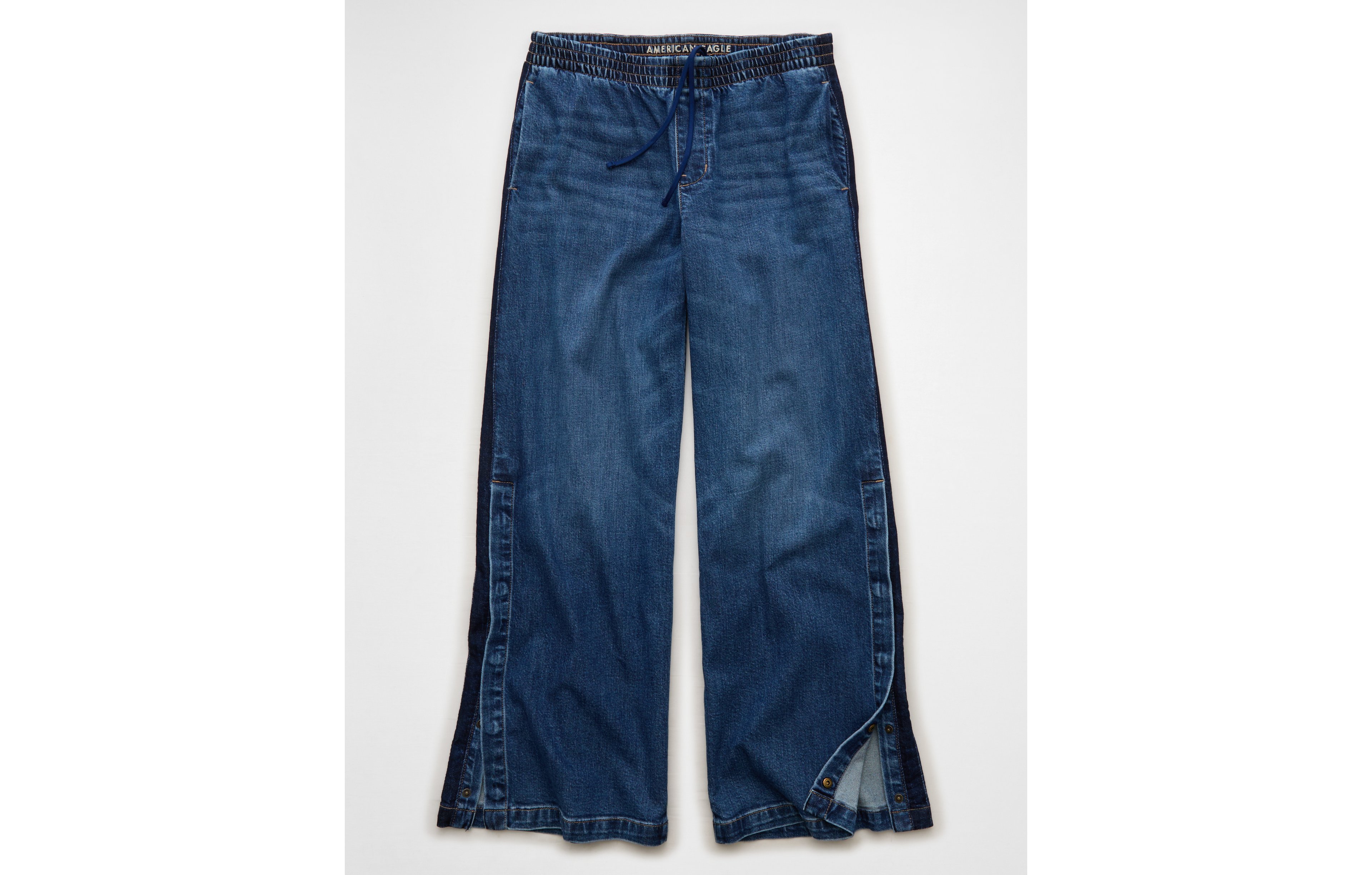 AE Low-Rise Baggy Ultra-Wide Leg Jean