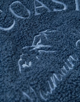 AE Sherpa Fleece Graphic Henley Sweatshirt